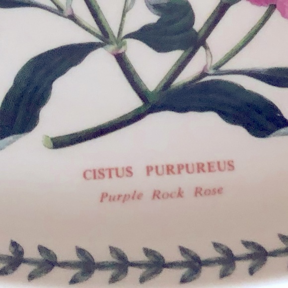 NWOT Portmeirion Beautiful Botanic Garden Oval Stoneware Platter EXC MINT COND!! - Picture 6 of 8